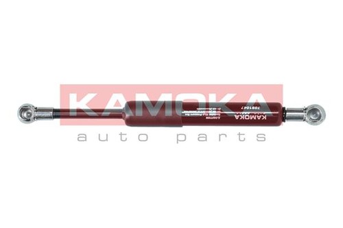 Ammortizzatore cofano motore - ammortizzatore,