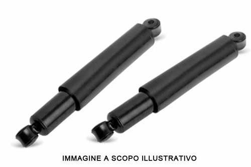 Coppia ammortizzatori - coppia,